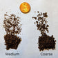 medium grounds on the left, coarse grounds on the right vs a penny